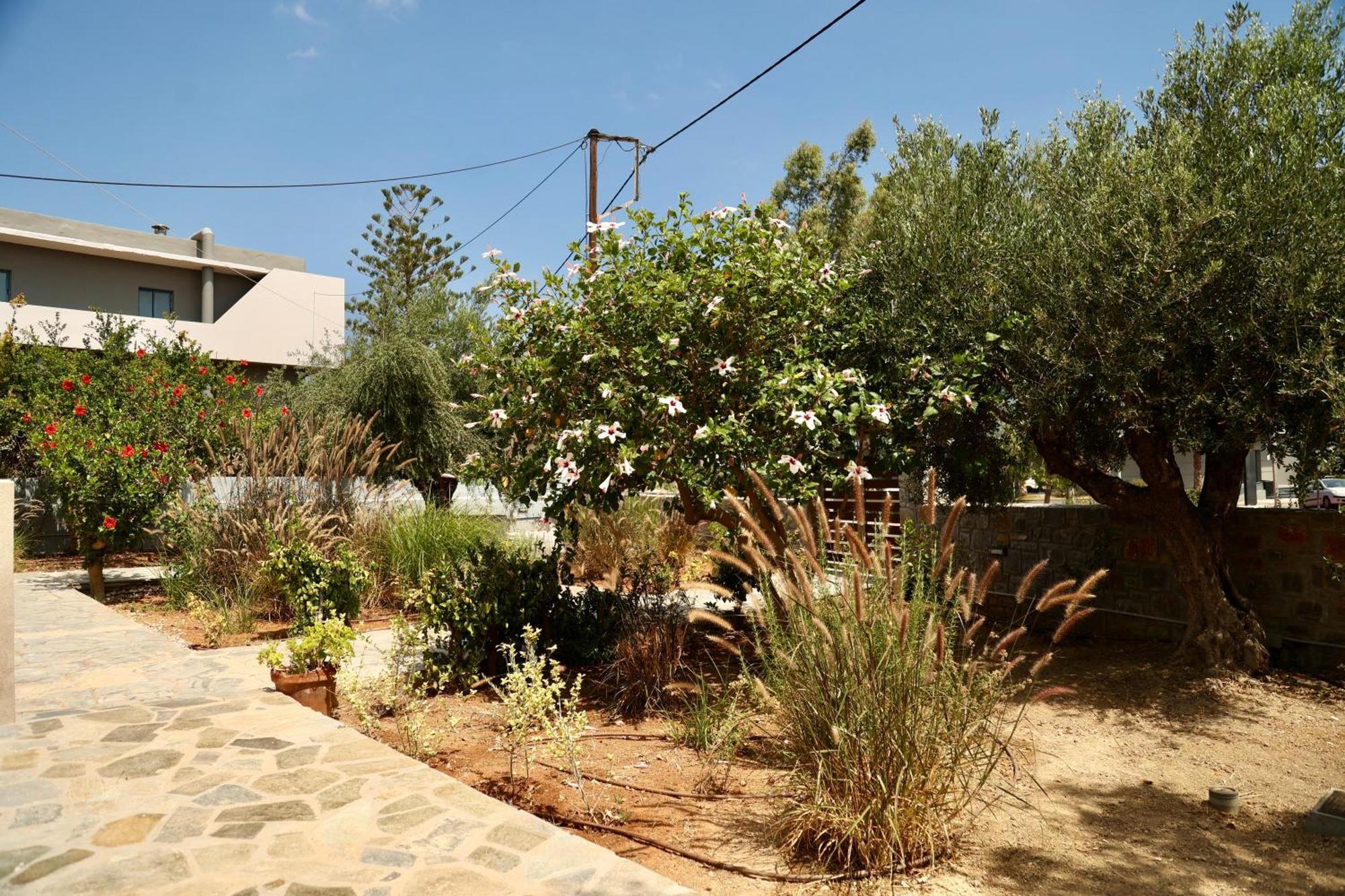 Cretanvibes Apartments Hersonissos  Exteriör bild